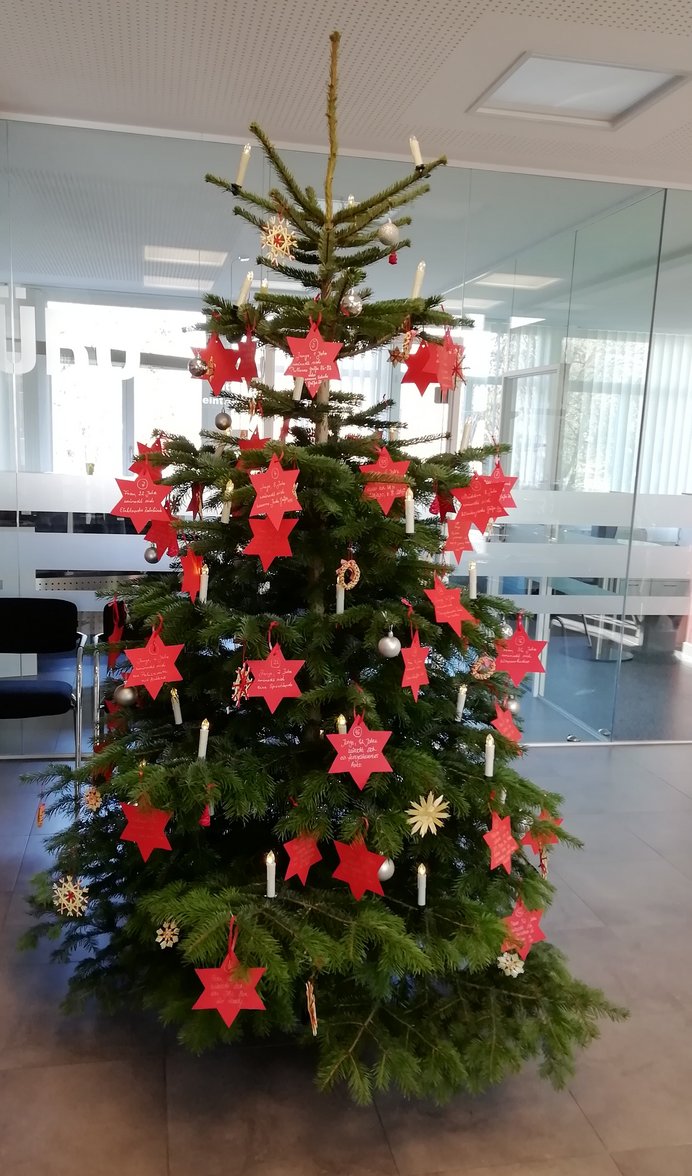 Weihnachtsbaum im Rathaus an dem die Wunschsterne hängen